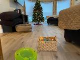Eternity Flooring: Valient Collection: Emblem